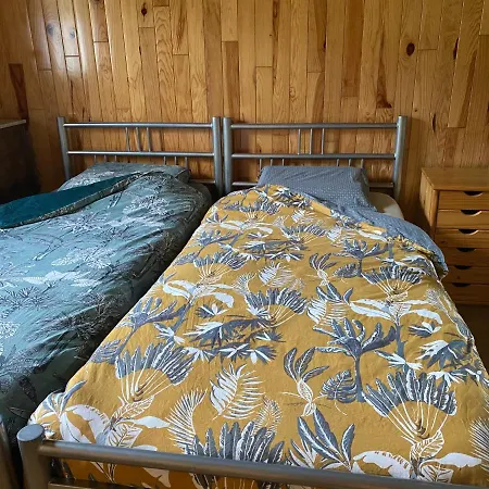 L'evasion Du Berger Australien *