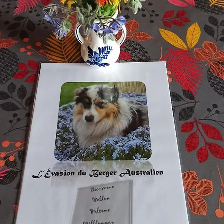 아파트 L'evasion Du Berger Australien 쿠뱅