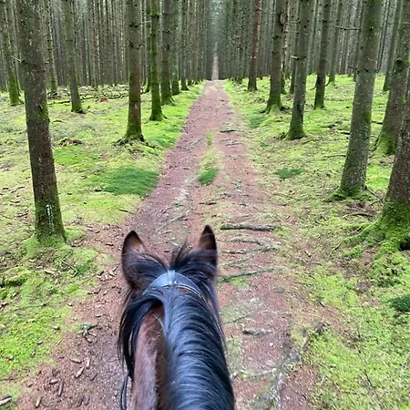 L'evasion Du Berger Australien * 쿠뱅