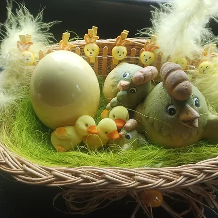 L'evasion Du Berger Australien Apartment