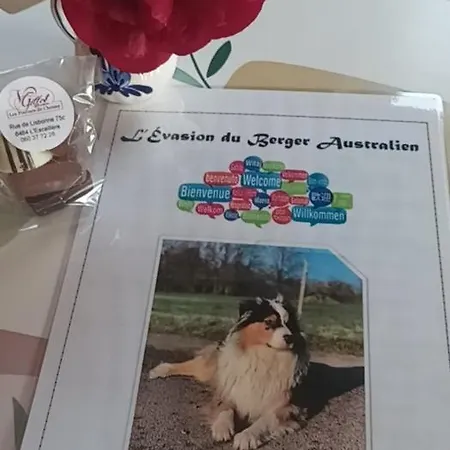 L'evasion Du Berger Australien Кувен