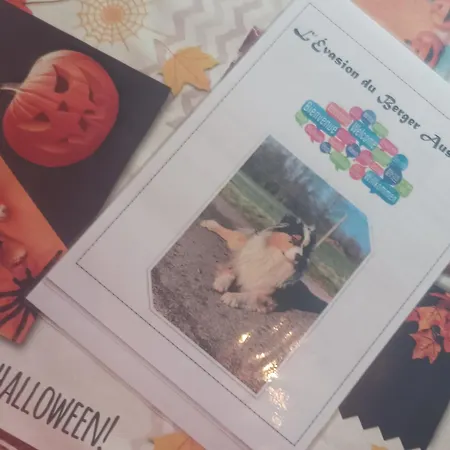 Apartment L'evasion Du Berger Australien Couvin