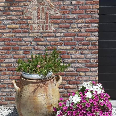 Apartment L'evasion Du Berger Australien